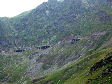 Submitted by Wayne Goates
Brandon Jensen
22 Oct 2002