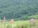 Title: Pole Haystacks