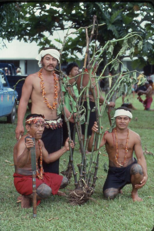 President Kimball's 'Ava Plant
Kendel  Klein
12 Dec 2001