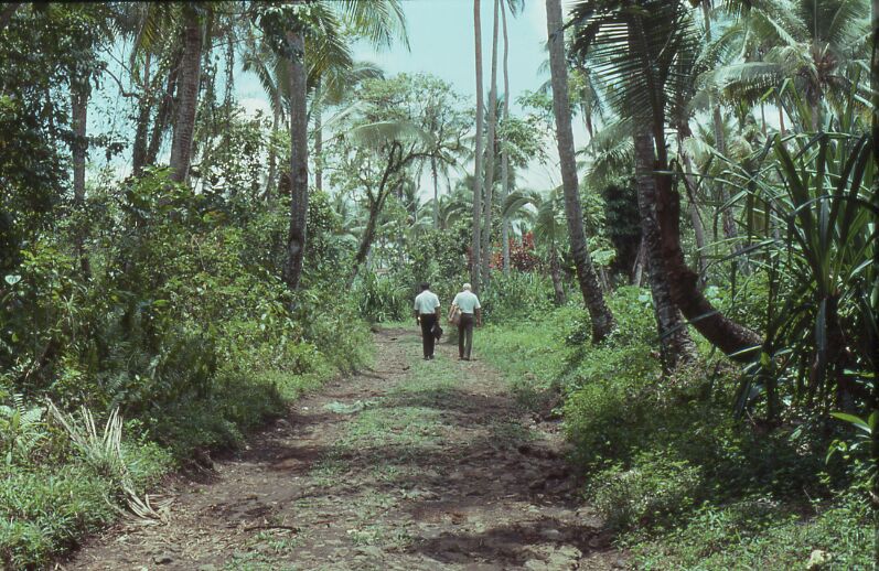 Elder's Vaitu'u & Hancock - Welfare Services 1976
Kendel  Klein
12 Dec 2001