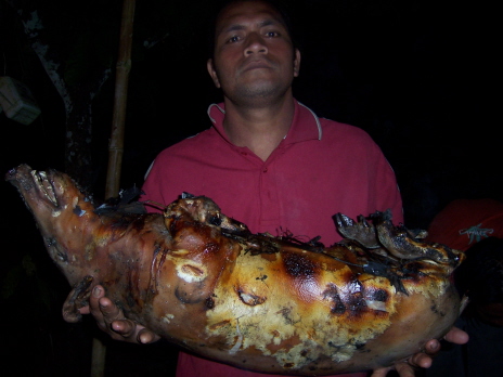 A pig cooked in rocks that elder Sannar helped with,5-06
Tyler McKay Sannar
17 Aug 2006