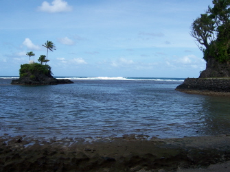 Three palms on a small island in Salani take by Elder Sannar,5-06.
Tyler McKay Sannar
17 Aug 2006