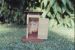 Title: Welfare Services 1976 (4)