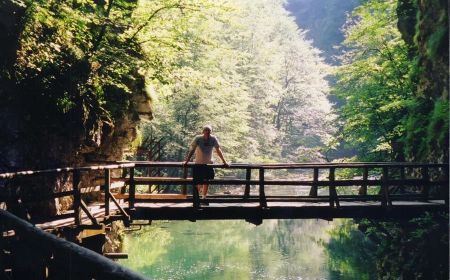 Near Lake Bled.
Greg  Peterson
15 Mar 2003