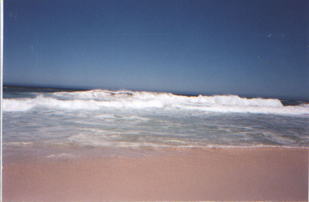 The beach below Cape Point is a real pain to get to, but SO beautiful!
Megan  Rees
14 Sep 2001