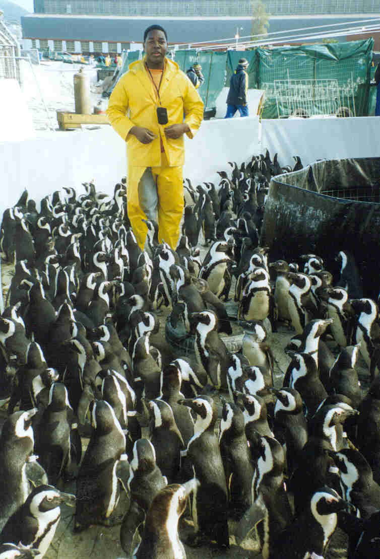 HElping the penguins
Rodric Anthony Johnson
12 Feb 2002