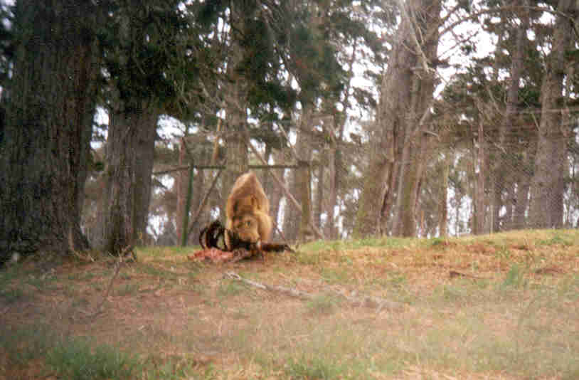 a
Rodric Anthony Johnson
12 Feb 2002