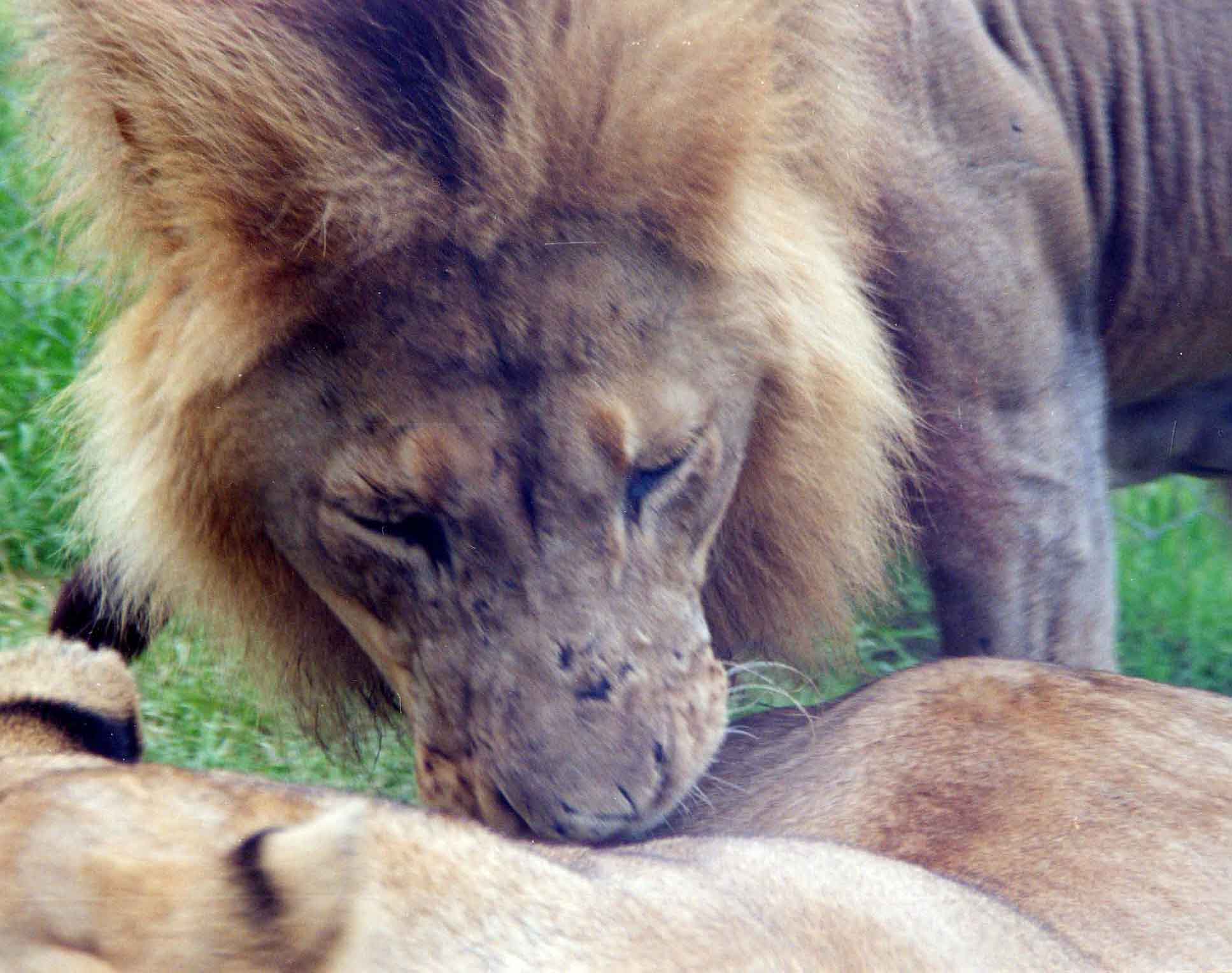 How close can you get?
Dylan R. Ence
17 Jun 2002