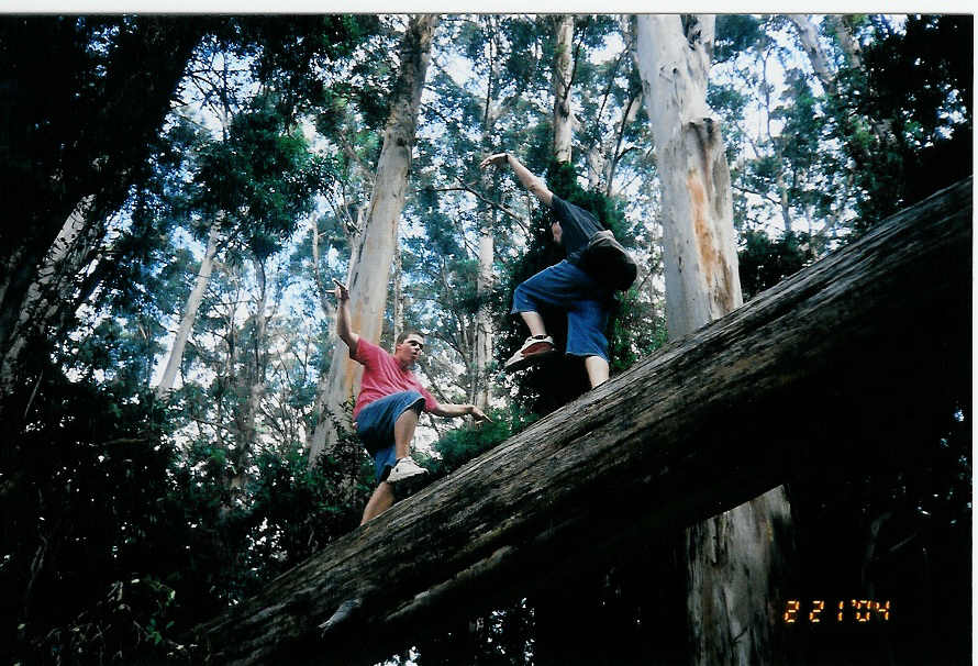 Elders Allen and Parkinson with a few others.
Greg J Allen
26 Apr 2004