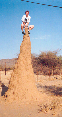 Namibian Termite Hill

Not impressed?  Consider the fact that I could just reach up and grab the power line.  That sucker was tall.

They say if you were to bulldoze a termite hill (they're as hard as cement) the termites would have it rebuilt within
Bill  Peavoy
29 Aug 2001