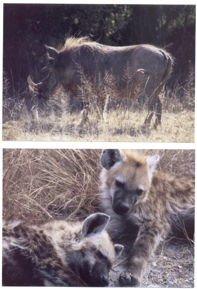 These pictures were sent to us by photographer and friend, Richard Keisker. 