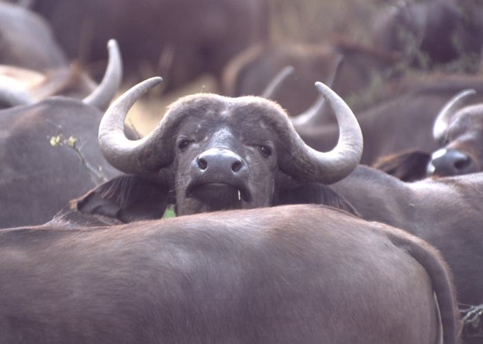 These pictures were sent to us by photographer and friend, Richard Keisker
Nannette  Watts
30 Aug 2001