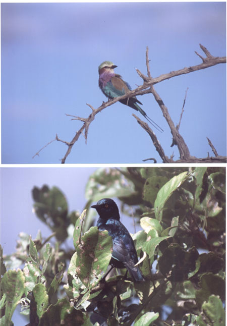 These pictures were sent to us by photographer and friend, Richard Keisker.
