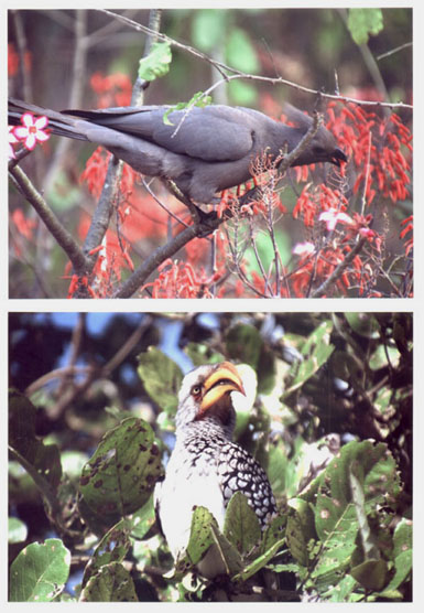 These pictures were sent to us by photographer and friend, Richard Keisker. 