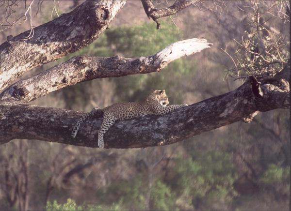 These pictures were sent to us by photographer and friend, Richard Keisker. 
