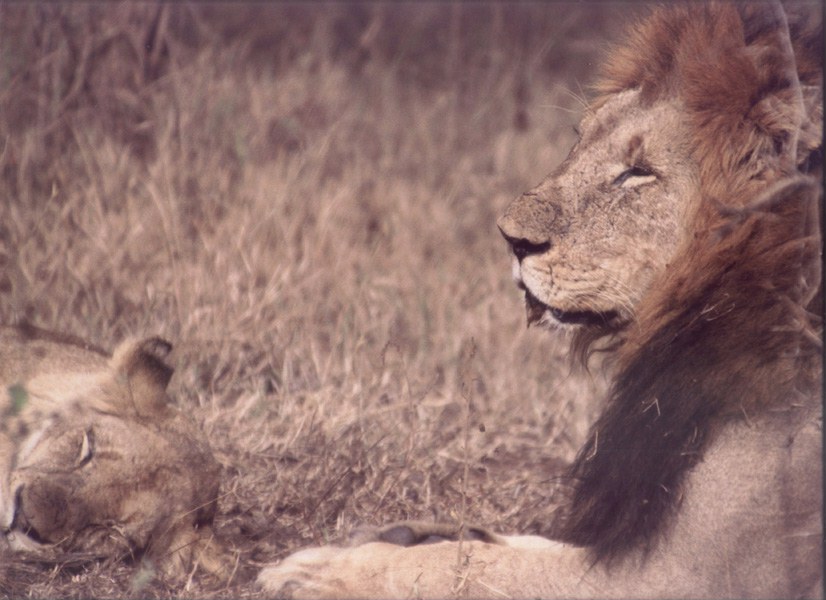 These pictures were sent to us by photographer and friend, Richard Keisker
Nannette  Watts
30 Aug 2001