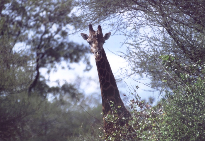 These pictures were sent to us by photographer and friend, Richard Keisker.
