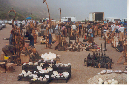 It's amazing what 5 rand and 2 American T-shirts can get you.               Later, I found a lady down in Cape South that would paint a picture of Joseph Smith on an ostrich egg.
Bill  Peavoy
31 Aug 2001