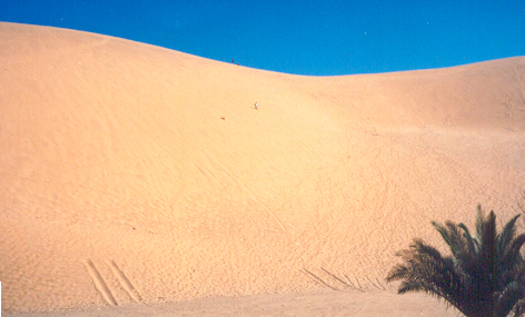 Considered one of the largest rolling sand dunes in the world.  This one travels up and down the coast of Namibia (sometimes threatening to completely envelope settlements as it goes).  That speck is me, coming back down.
Bill  Peavoy
31 Aug 2001