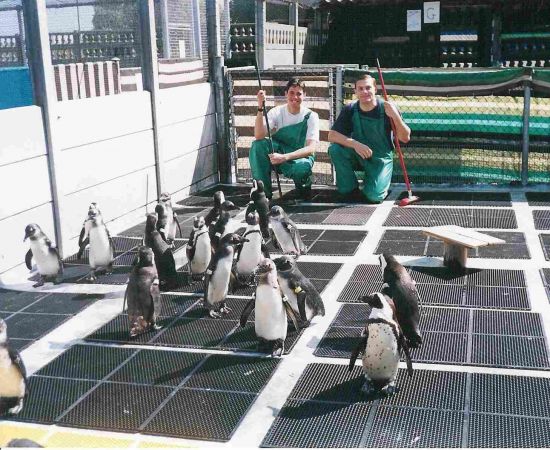Karl Mortensen and I cleaning the Penguins!
James Eugene Brown
26 Nov 2002
