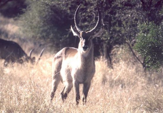 These pictures were sent to us by photographer and friend, Richard Keisker
Nannette  Watts
30 Aug 2001