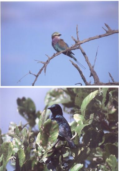 These pictures were sent to us by photographer and friend, Richard Keisker.
