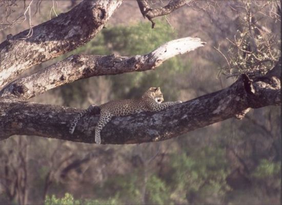 These pictures were sent to us by photographer and friend, Richard Keisker. 
