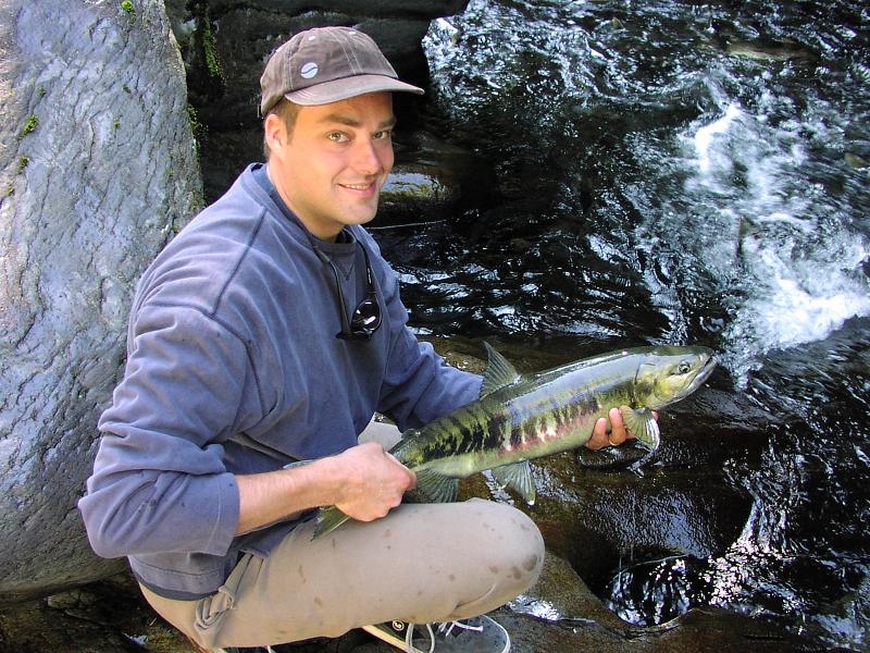 Dan A. Nelson Alumni Photo