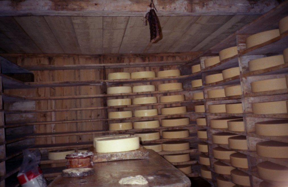 Didn't realize how neat this picture was until I had the film developed. Ah, the days before digital cameras.
Galen Louis Anderson
11 Nov 2005