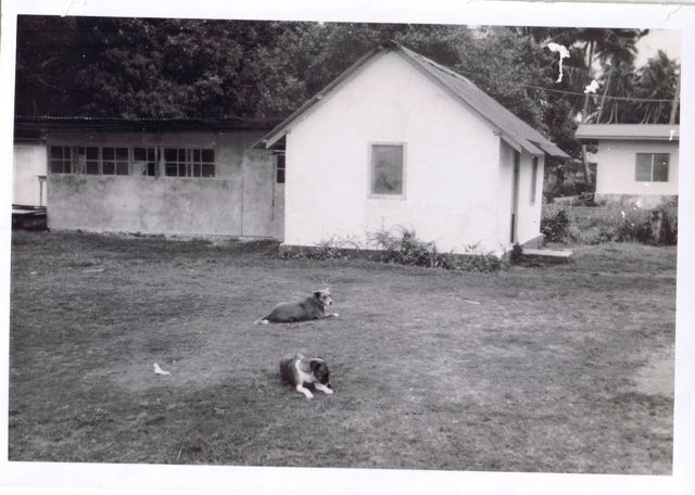 Elders' Quarters Taahueia - 1974
Doug  Rosser
06 Nov 2008