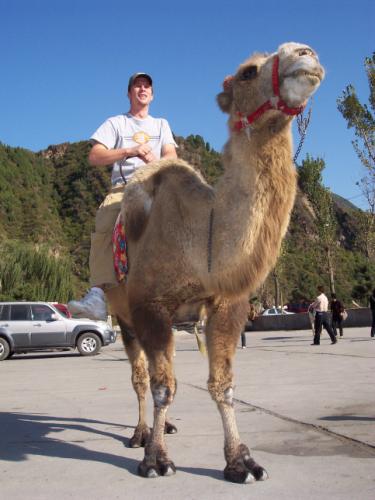 Brandon  Schulthies 石迦豪 Alumni Photo