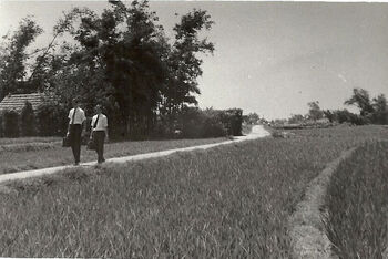 Companions Kent Bailey and Kent Sellers tracting on the outskirts of Taichung in 1970.
Kent  Sellers
31 Jul 2014