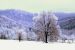 Title: Snow