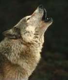 D Brian  Peterson Alumni Photo