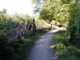 Cumi walking path
David  McQueen
11 Nov 2004