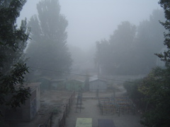 This is the best part of the Ukraine - the winter fog.
Samuel Baugh Hislop
12 Mar 2006