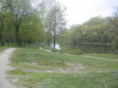 Some of the best scenery in the Ukraine is in Sumi. This is May 2004.
Samuel Baugh Hislop
12 Mar 2006