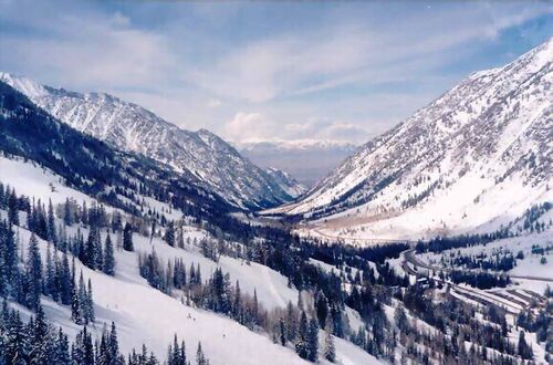 A view of the valley from Snowbird Ski Resort.
Todd C Strelka
17 Aug 2002