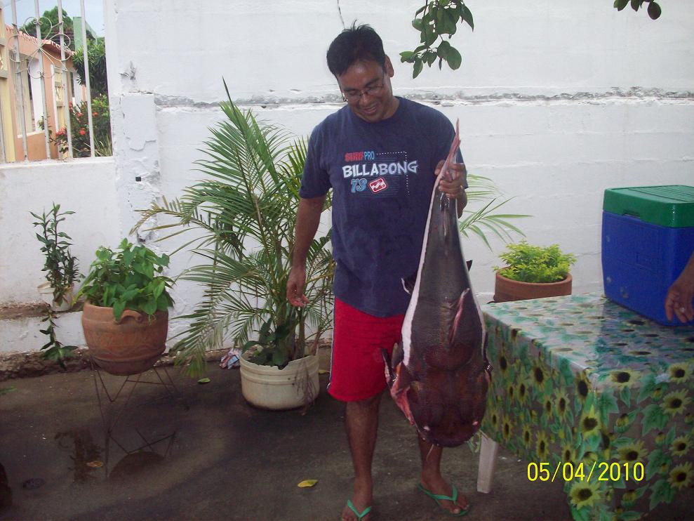 Este es el nivel de principiante...
Eugenio  Cedeño
03 Nov 2010