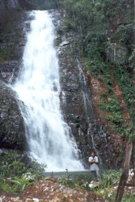 Salto
Honorio Alejandro Rodriguez
28 Mar 2001
