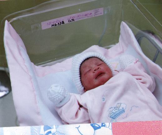 this picture was taken when she was 5 hours old
Jim  Clark
19 Apr 2001