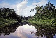  Río Orinoco