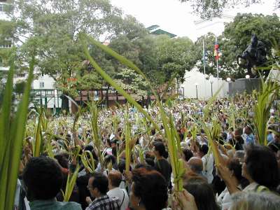 photo courtesy of Venezuela Tuya