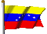 the Venezuelan flag