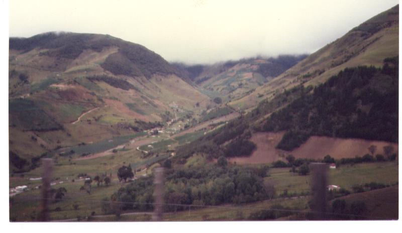 Via Trasandina, entre Mérida y Táchira
Andres Rafael Diaz
28 Oct 2003