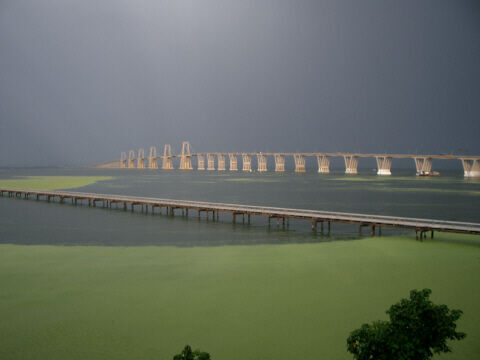 Con la lenteja verde
Familia Padilla
17 Jul 2004