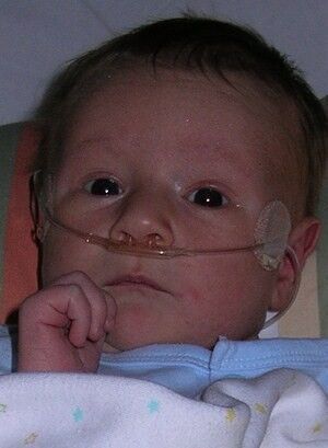 This is our two-month old.  He's still on oxygen from a heart procedure he had his first week of life, but he is doing so well.
Aaron C Bangerter
29 Aug 2007