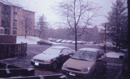 the focus and aparments.
Good place to catch some squirrels!
Walter Daniel Valdez
16 Jan 2003