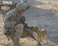 james e bless Alumni Photo