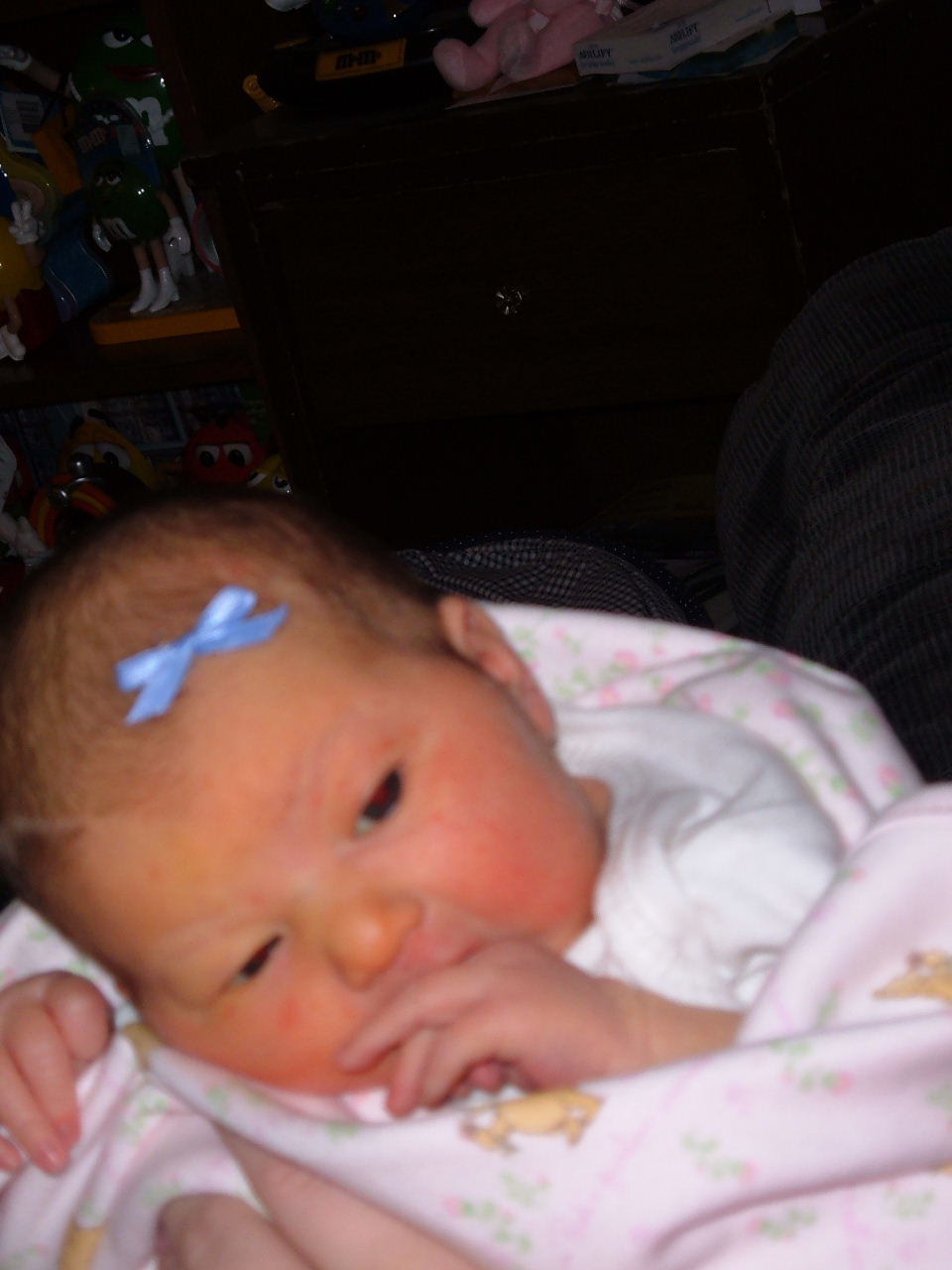 Morgan  McCain Alumni Photo